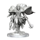 D&D Nolzurs Marvelous Unpainted Miniatures Aasimar Cleric Male