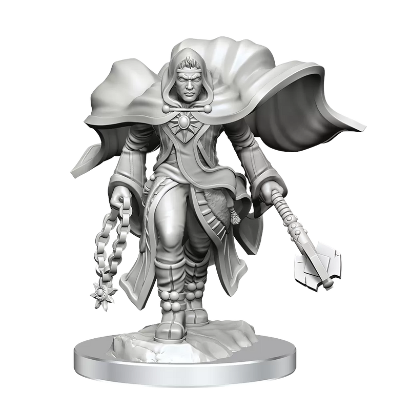 D&D Nolzurs Marvelous Unpainted Miniatures Aasimar Cleric Male