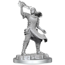 D&D Nolzurs Marvelous Miniatures Shifter Fighter