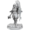 D&D Nolzurs Marvelous Miniatures Half-Elf Warlock