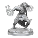 D&D Nolzurs Marvelous Miniatures Half-Elf Warlock