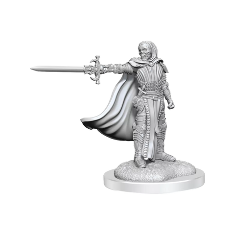 D&D Nolzurs Marvelous Miniatures Death Knights