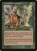 Citanul Hierophants (USG-244) - Urza's Saga