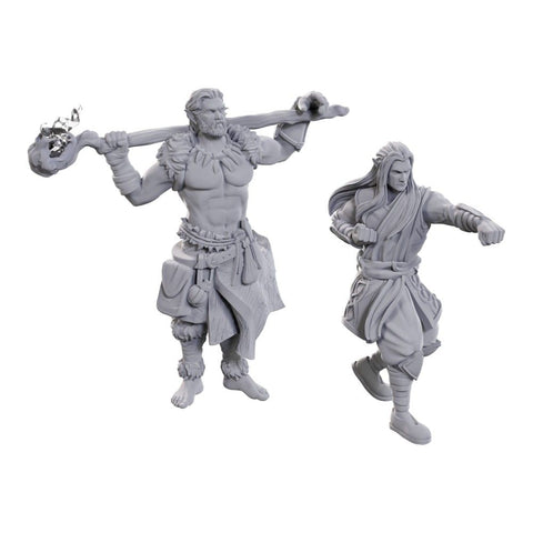 D&D Miniatures: Archdruid & Martial Arts Adept