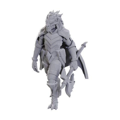 D&D Miniatures: Dragonborn of Tiamat