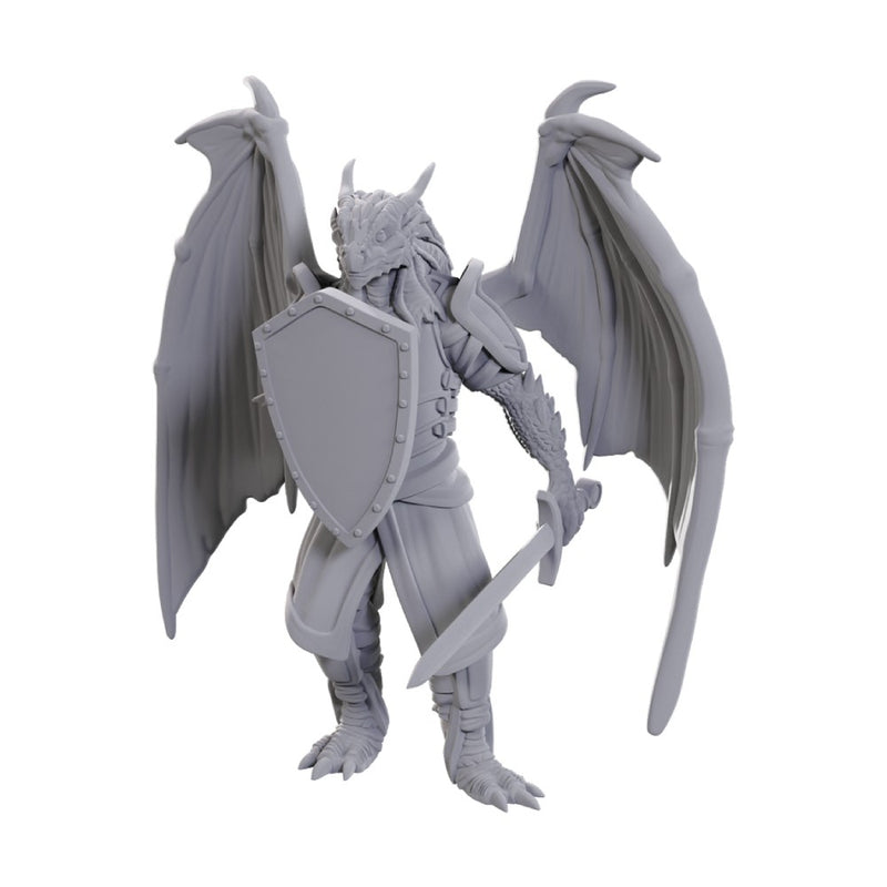D&D Miniatures: Dragonborn of Bahamut