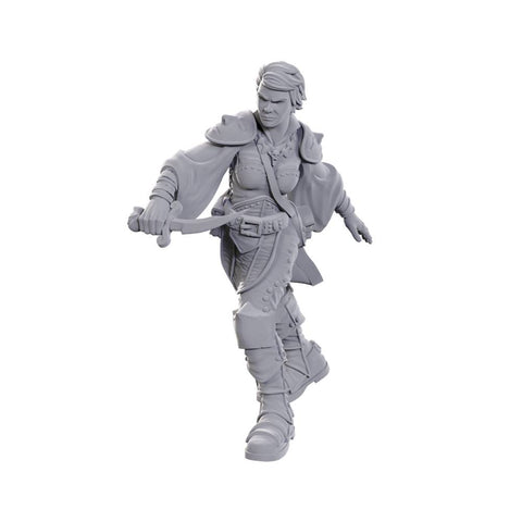 D&D Miniatures: Swashbuckler