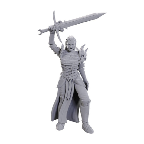 D&D Miniatures: Blackguard