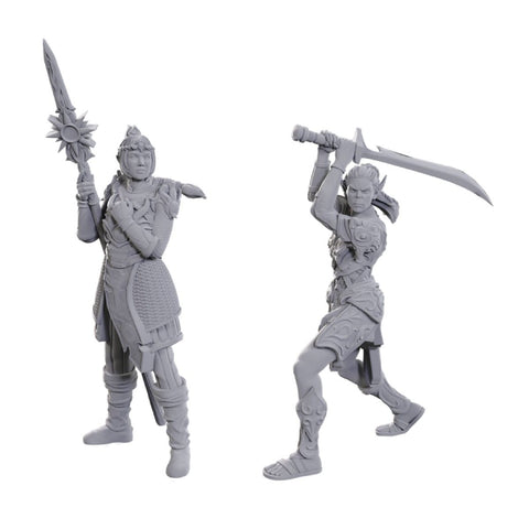 D&D Nolzur's Marvelous Miniatures: Special Edition – Baldur's Gate 3: Lae'zel & Shadowheart