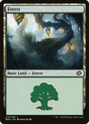Forest (BRO-276) - The Brothers' War
