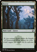 Forest (AFR-279) - Adventures in the Forgotten Realms Foil
