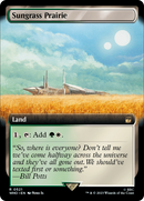 Sungrass Prairie (WHO-521) - Doctor Who: (Extended Art)