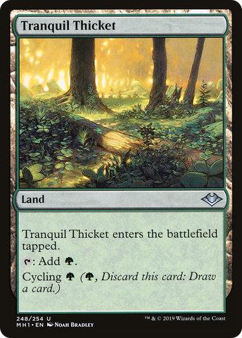 Tranquil Thicket (MH1-248) - Modern Horizons