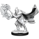 Critical Role Unpainted Miniatures Hobgoblin Wizard and Druid Male