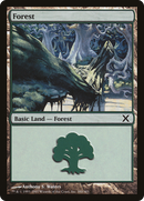 Forest (10E-380) - Tenth Edition