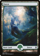 Forest (ZNR-280) - Zendikar Rising: (Full Art) Foil