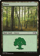 Forest (DD3-029) - Duel Decks Anthology: Elves vs. Goblins
