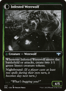 Infestation Expert // Infested Werewolf (DBL-473) - Innistrad: Double Feature: (Double Faced Transform) Foil