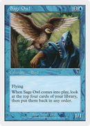 Sage Owl (7ED-096) - Seventh Edition