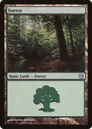Forest (DPA-112) - Duels of the Planeswalkers