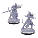 D&D Mini Tiefling Warlocks