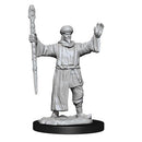 D&D Mini Human Wizard Male