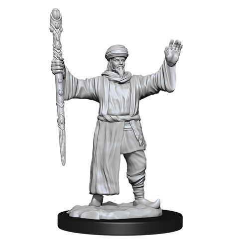 D&D Mini Human Wizard Male