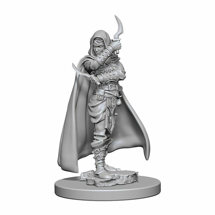 Pathfinder Deep Cuts Female Human Rogue