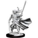 D&D Frameworks Elf Ranger Male