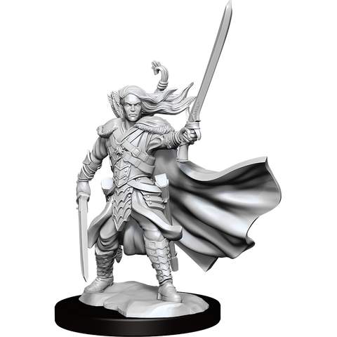 D&D Frameworks Elf Ranger Male