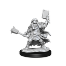 D&D Frameworks Dwarf Cleric Female