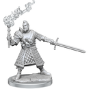 D&D Frameworks Human Male Fighter