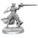 D&D Frameworks Tiefling Rogue Female