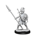 D&D Frameworks Human Fighter Female