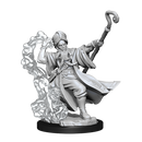 D&D Frameworks Human Wizard Male