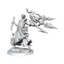 D&D Frameworks Dragonborn Sorcerer Female