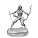 D&D Frameworks Human Rogue Female