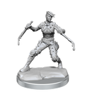 D&D Frameworks Human Rogue Female