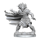 D&D Frameworks Wight