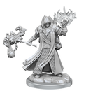 D&D Frameworks Human Cleric Male