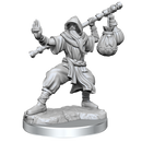 D&D Frameworks Human Monk Male