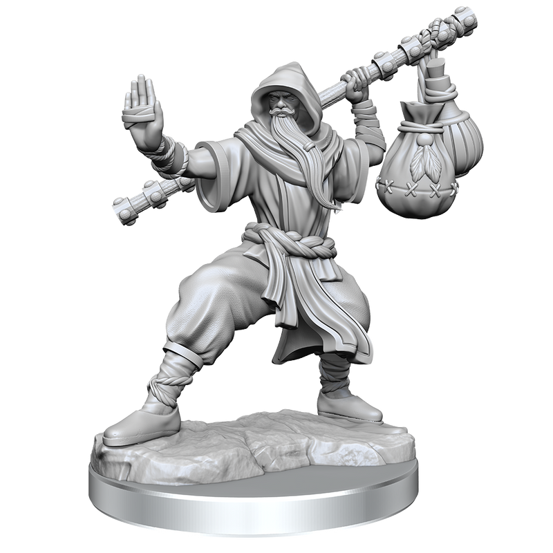 D&D Frameworks Human Monk Male