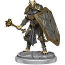 D&D Dragonborn Cleric