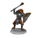 D&D Dragonborn Cleric