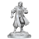 Critical Role Unpainted Miniatures Male Human Sorcerer Merchant & Tiger Demon