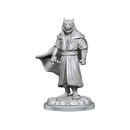 Critical Role Unpainted Miniatures Male Human Sorcerer Merchant & Tiger Demon
