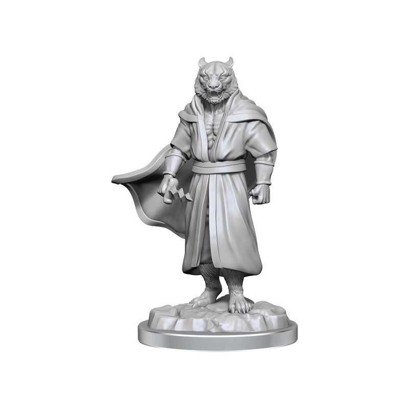 Critical Role Unpainted Miniatures Male Human Sorcerer Merchant & Tiger Demon