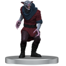 D&D Icons of the Realms Adventure in a Box Wererat Den