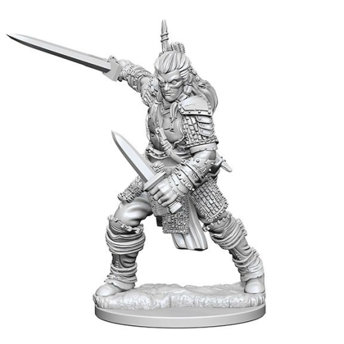 Pathfinder Deep Cuts Unpainted Miniatures Human Male Fighter