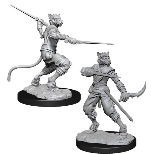 D&D Mini Male Tabaxi Rogue